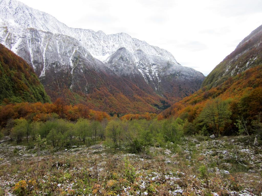 Bezgova Hisica Villa Bovec Dış mekan fotoğraf