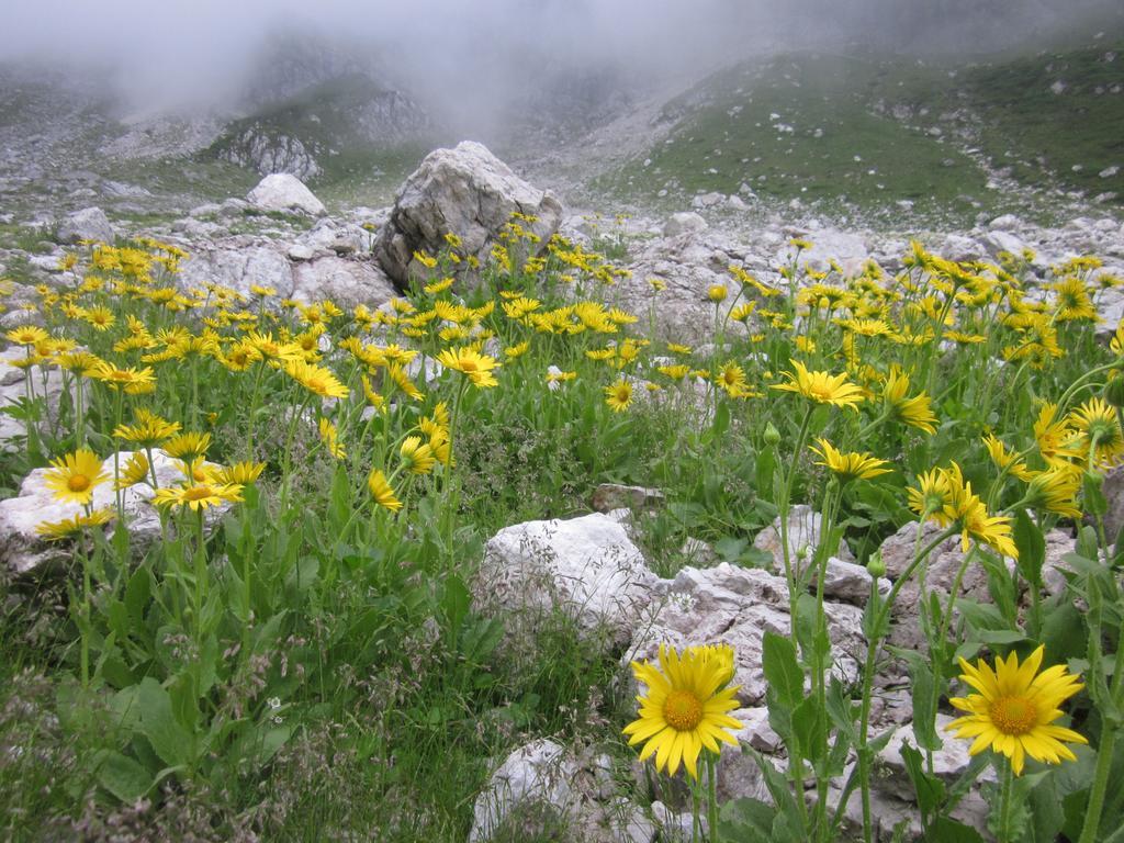 Bezgova Hisica Villa Bovec Dış mekan fotoğraf