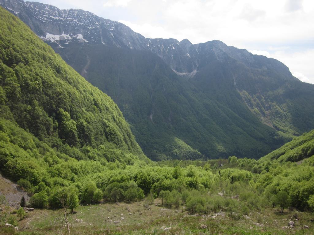 Bezgova Hisica Villa Bovec Dış mekan fotoğraf