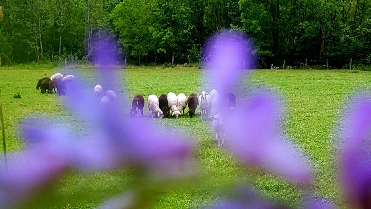 Bezgova Hisica Villa Bovec Dış mekan fotoğraf