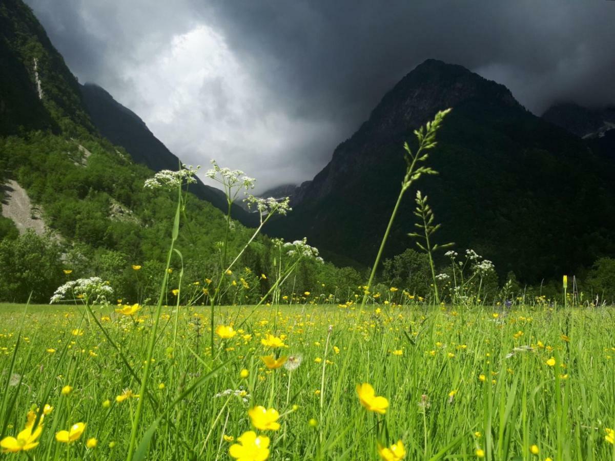 Bezgova Hisica Villa Bovec Dış mekan fotoğraf